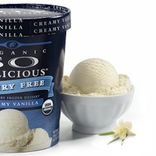 Turtle Mountain Organic So Delicious Dairy Free Creamy Vanilla Ice Cream